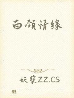 白领情缘封面