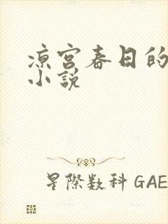 凉宫春日的忧郁小说