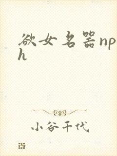 欲女名器np高h