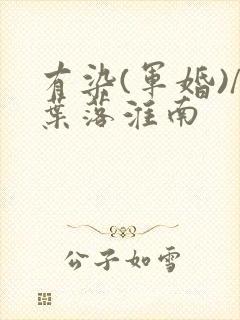 有染(军婚)/叶落淮南