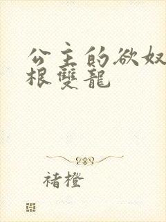 公主的欲奴h四根双龙封面