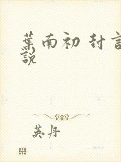 叶南初 封言小说