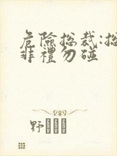 危险总裁:总裁非礼勿碰