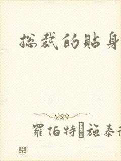 总裁的贴身女佣封面