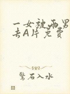 一女被两男桶进去A片免费