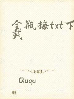 金瓶梅txt下载封面