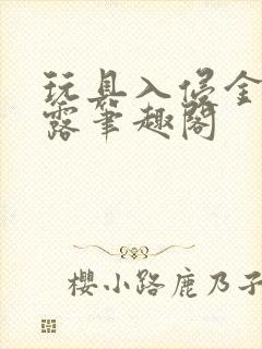 玩具入侵金银花露笔趣阁