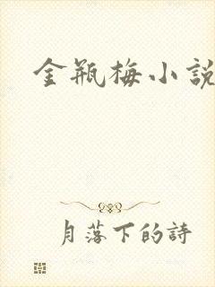 金瓶梅小说在线