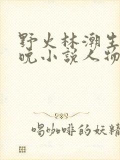 野火林潮生林晚晚小说人物野火