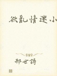 欲乱情迷小说封面