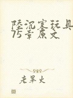 陆沉塞玩具高速75章原文