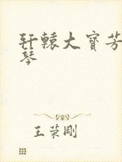 轩辕大宝芳菲雅琴封面