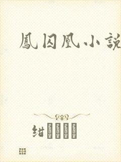凤囚凰小说