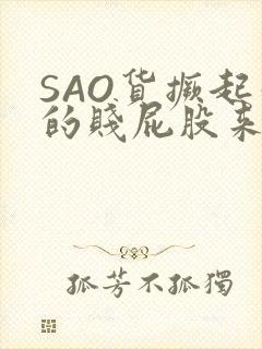 SAO货撅起你的贱屁股来