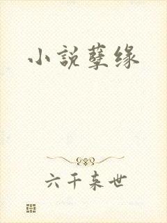小说孽缘