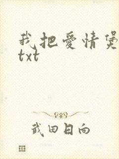 我把爱情煲成汤txt