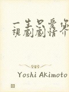 一生只爱你 电视剧剧情介绍封面