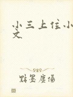 小三上位小说全文封面