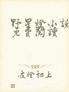 野星灯小说全文免费阅读封面