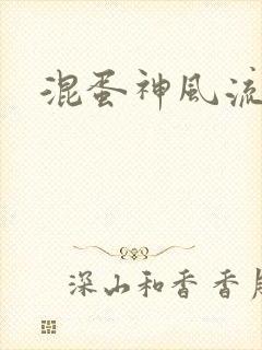 混蛋神风流