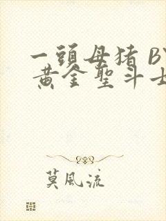 一头母猪 BY 黄金圣斗士