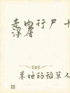 走肉行尸 十阶浮屠