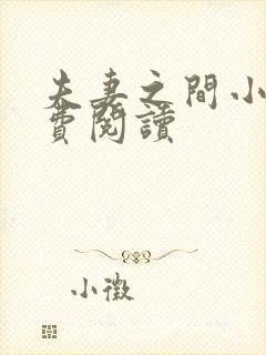 夫妻之间小说免费阅读封面