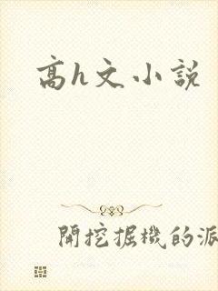 高h文小说
