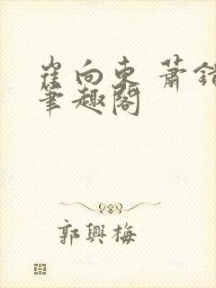 崔向东 萧错 笔趣阁封面
