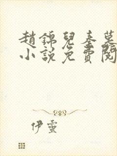 赵锦儿秦慕修的小说免费阅读全文