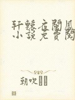 轩辕夜阑凤云倾小说免费阅读笔趣阁