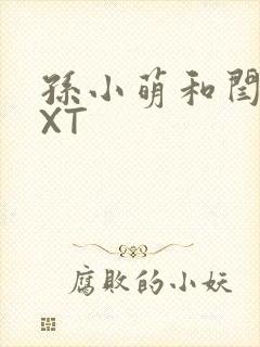 孙小萌和闫辰TXT封面