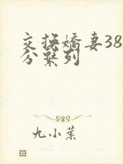 交换娇妻38部分系列