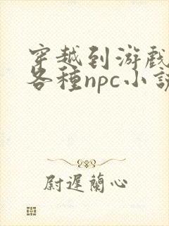 穿越到游戏里和各种npc小说