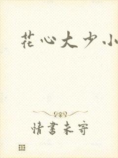 花心大少小说封面