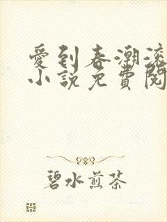 爱到春潮滚滚来小说免费阅读