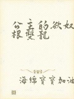 公主的欲奴h四根双龙