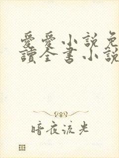 爱爱小说免费阅读全书小说乡村