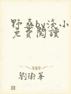 野桑by浅小说免费阅读