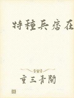 特种兵痞在都市