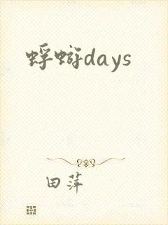 蜉蝣days