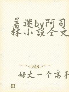 着迷by阿司匹林小说全文免费阅读无广告封面