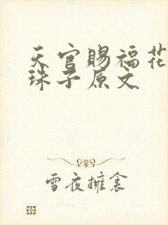 天官赐福花怜塞珠子原文