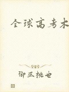 全球高考木苏里