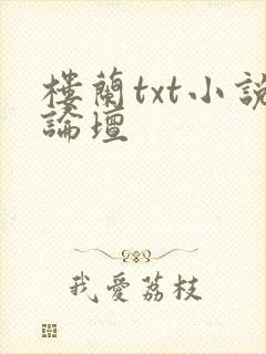 楼兰txt小说论坛封面