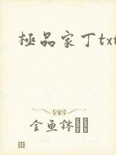 极品家丁txt