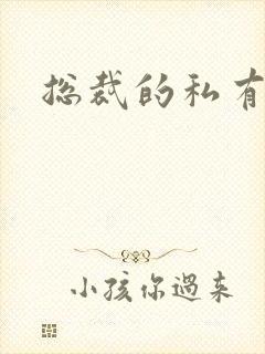 总裁的私有宝贝封面