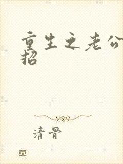 重生之老公请接招封面