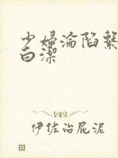 少妇沦陷系列之白洁