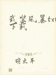 武装风暴txt下载封面